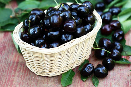 Black cherries